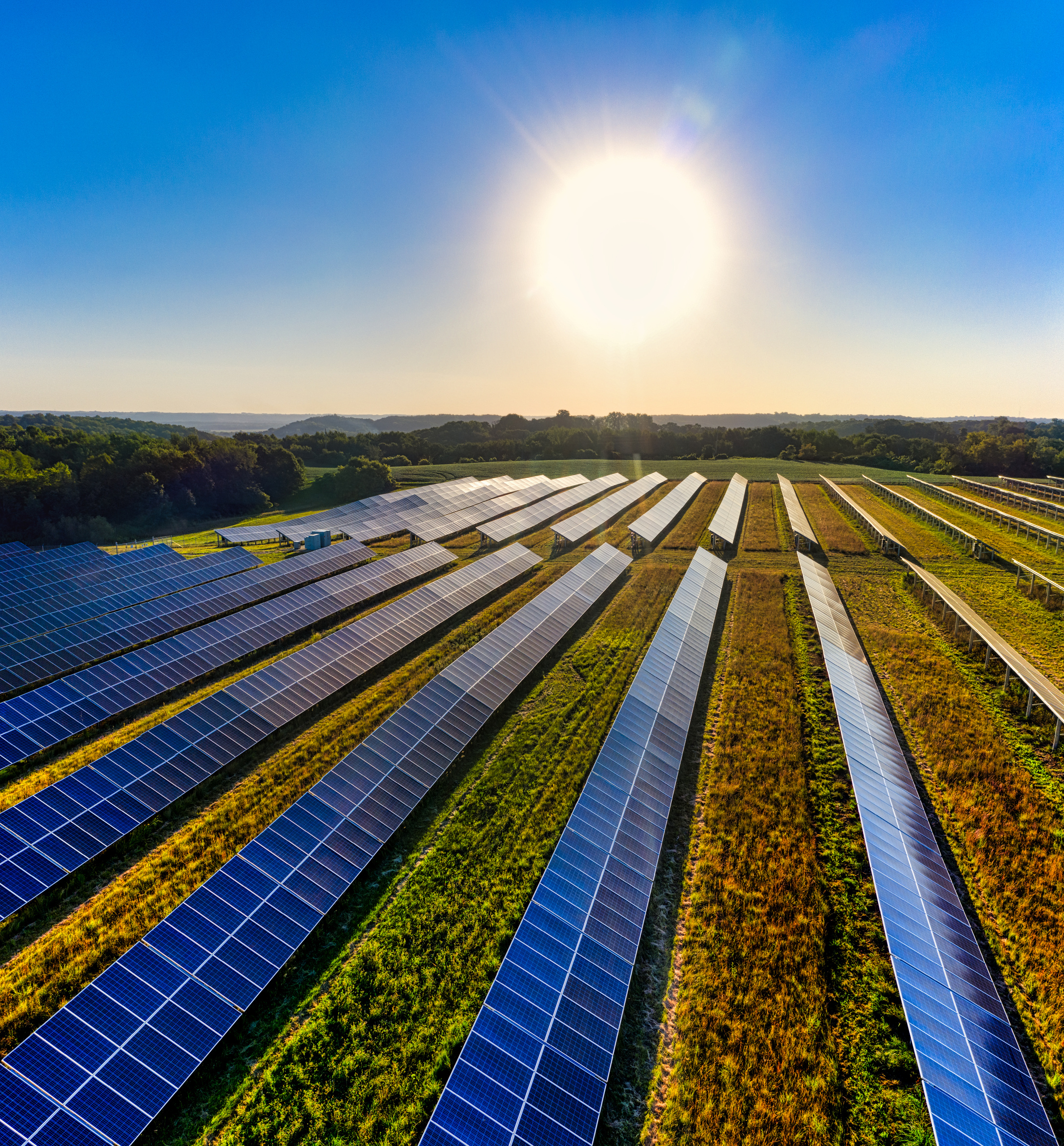 Solar Farm at Sunny Day